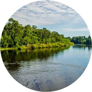 Pacaya-Samiria National Reserve