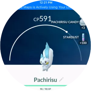 Pachirisu