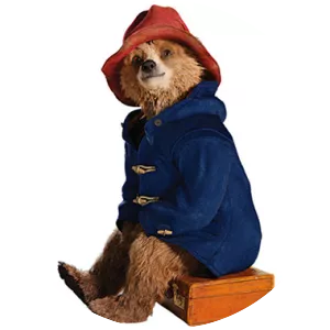 Paddington Bear