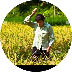 Paddy Button - Movie character