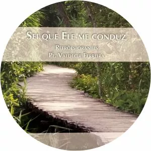 Padre Valdecir Ferreira - Musical artist