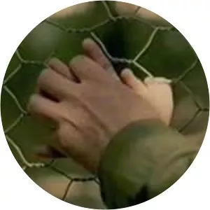 Padurea de fagi (Pădurea de fagi)