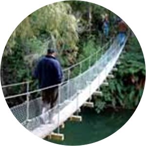 Paengaroa Scenic Reserve