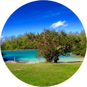 Paget Island - Island in Bermuda