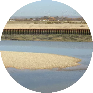 Pagham Harbour - 