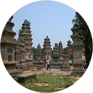 Pagoda Forest at Shaolin Temple - 