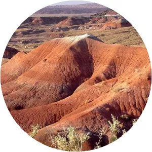 Painted Desert