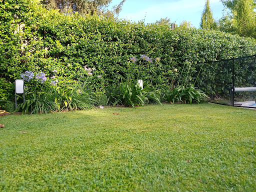 Paisajismo La Moraleja