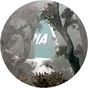 Pakistan International Airlines Flight 268