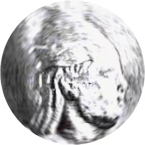 Palacus - Skilurus' son