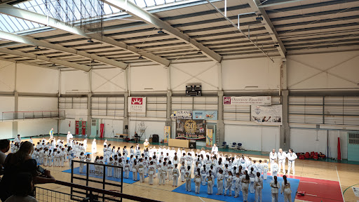 Palacus - Sport Centre - Sports complex in Genoa, Italy