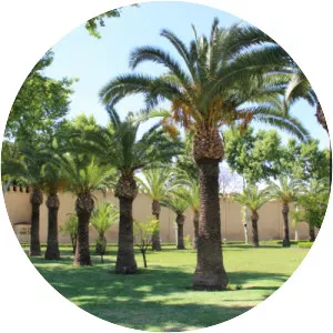 Palais Royal Dar El Makhzen - Fez