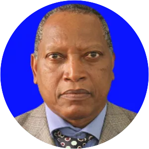 Palamagamba John Aidan Mwaluko Kabudi