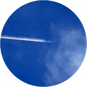 Pale Blood - 1990 ‧ Thriller/Action ‧ 1h 33m