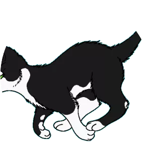 Palebird - Fictional character