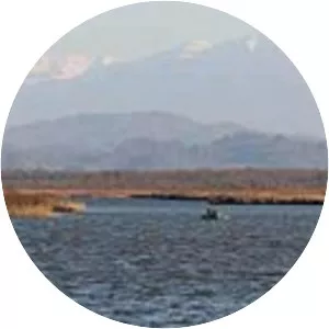 Paliastomi Lake (Paliastomi Gölü)