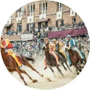 Palio di Siena - 