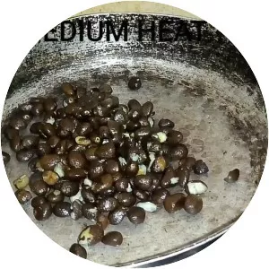 Palm kernel oil - Edible oil