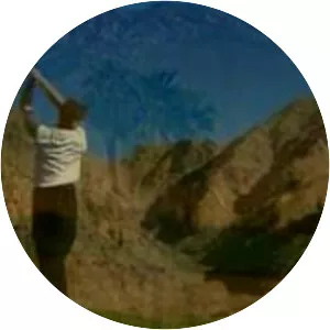 Palm Springs Air Museum