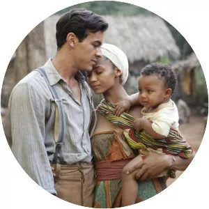 Palm Trees in the Snow