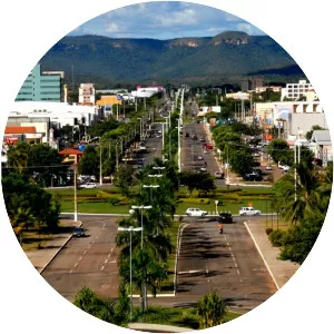 Palmas