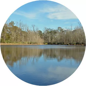 Palmetto Island - Island in Louisiana