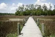 Palmetto Islands County Park