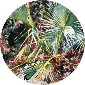 Palmettos, Florida