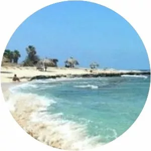 Palms Island - Island in Lebanon