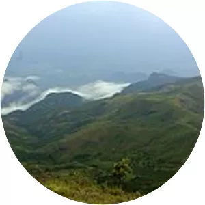 Palni Hills