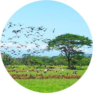 Palo Verde National Park