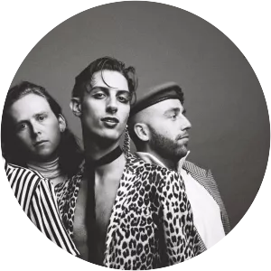 Palomino Party - Musical group