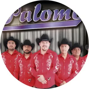 Palomo - Musical group