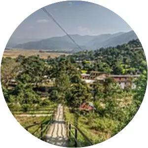 Palpa