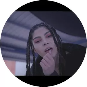 Pam Rabbit - Musical artist