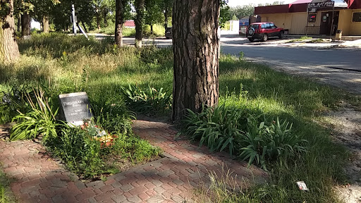 Pam'yatnyk Pyvovarov Pavlo - Historical landmark in Chubyns'ke, Ukraine