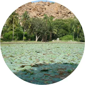 Pampa Sarovar