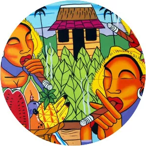 Panama Cardoon - Musical artist