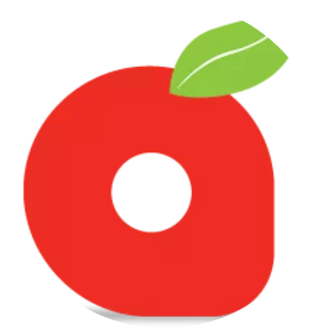 Panda Retail Company