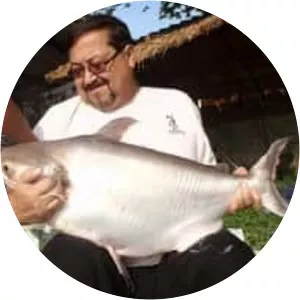 Pangasius larnaudii - Fish