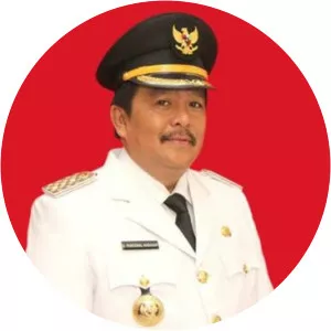 Pangonal Harahap - Politician