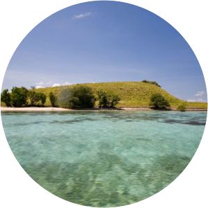 Panjang Island - Jepara