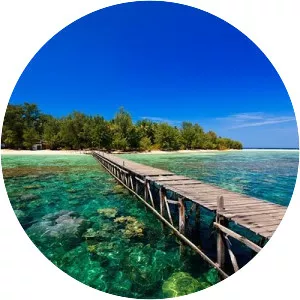 Panjang Island (Pulau Panjang)