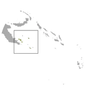 Panniet naked-backed fruit bat - Animal