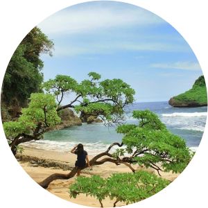 Pantai Seling Kates Malang Regency - 