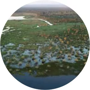 Pantanal - Region in South America