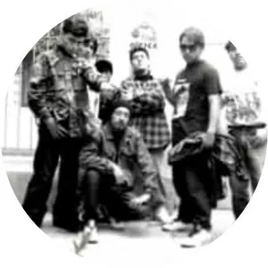 Panteras Negras - Musical group