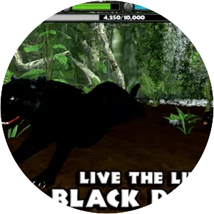 Panther Simulator