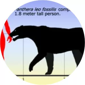 Panthera leo fossilis