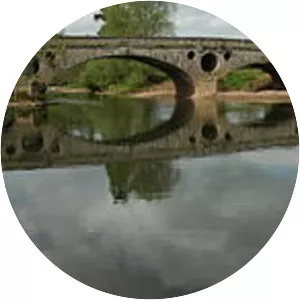PantyGoitre Bridge